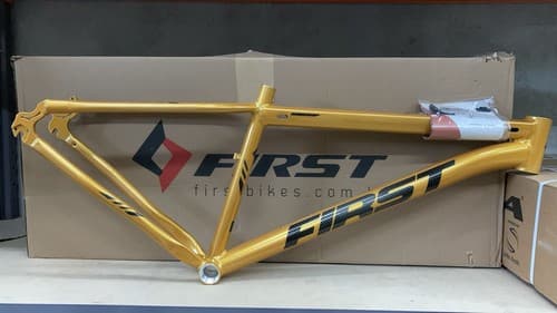 QUADRO 29 T15 FIR/LIF OURO/ADS PTO
