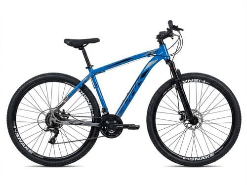 BIC 29 T19 AZ/PTA ADS/PTO PRK SPORT (C.E)