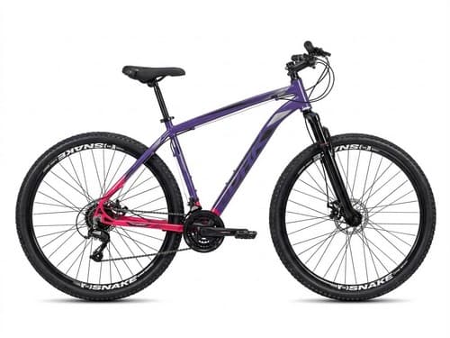 BIC 29 T21 LIL/ROSA ADS/PTO PRK SPORT (C.E)
