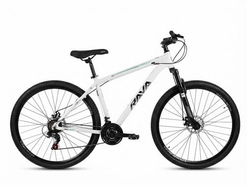 BIC 29 T19 MTB RAVA GO BRANCO