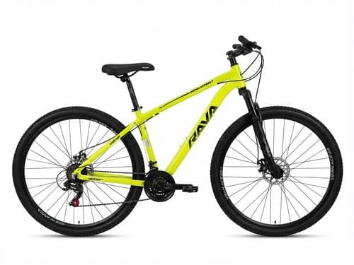 BIC 29 T19 MTB RAVA GO VERDE N
