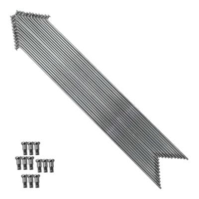 RAIO 255X2.5 INOX MAXX CHAIN