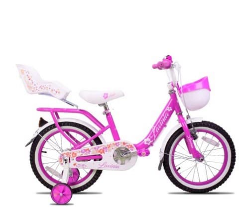 BIC 16 PRO -X LAVINIA ROSA