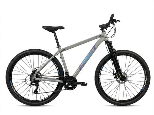 BIC 29 T19 FIR/LIF CINZA/ADS VIO/AZ (C.E)