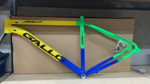 QUADRO 29 T21 GALLO BRAZIL