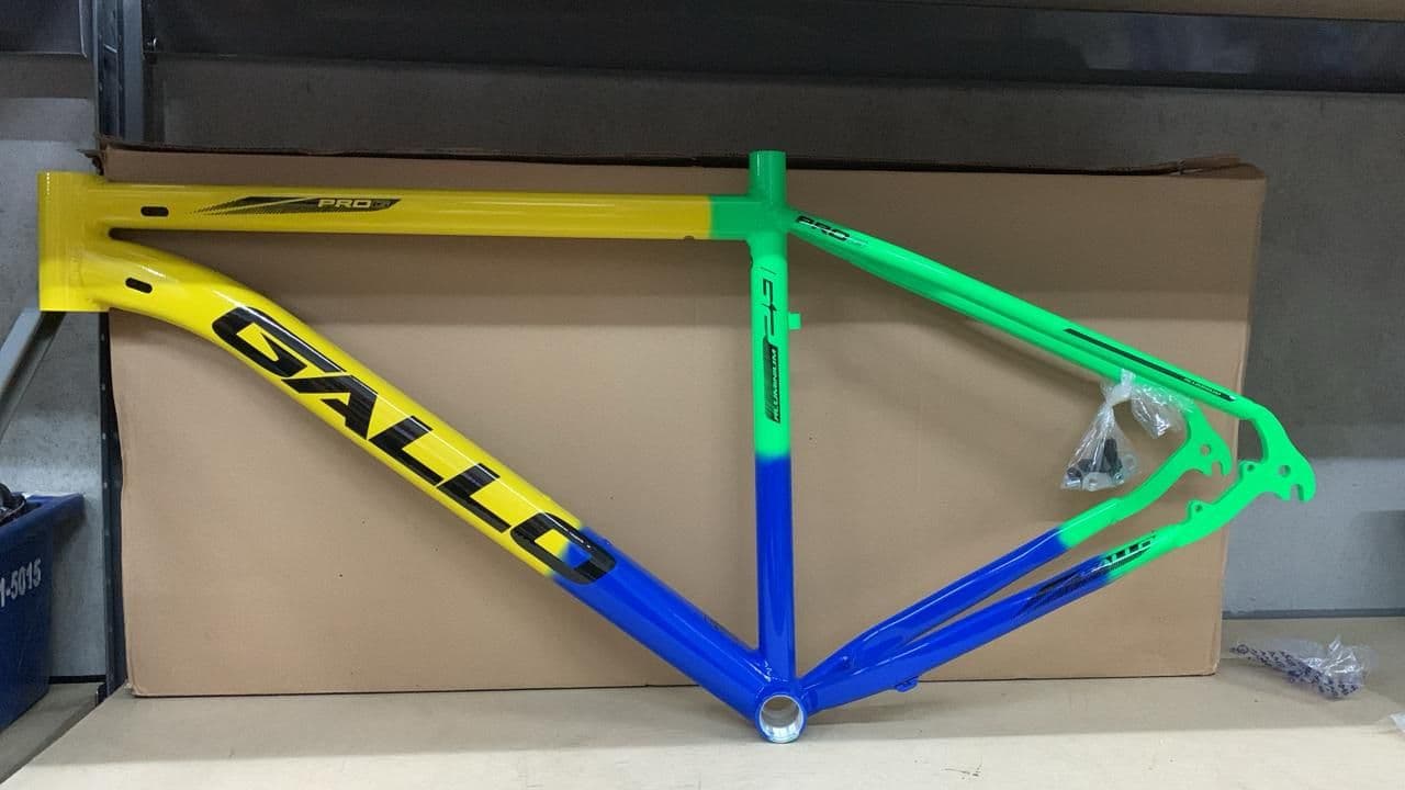 QUADRO 29 T19 GALLO BRAZIL