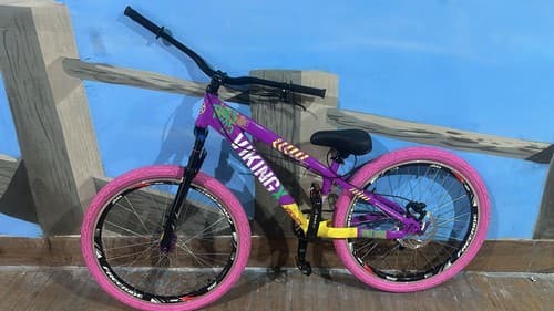 BIC 26 ALUM DIRT J.TUFF X-25 ROXA/AMA VIKING