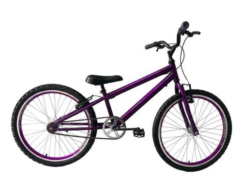 BIC 24 RBX S/M VIOLETA