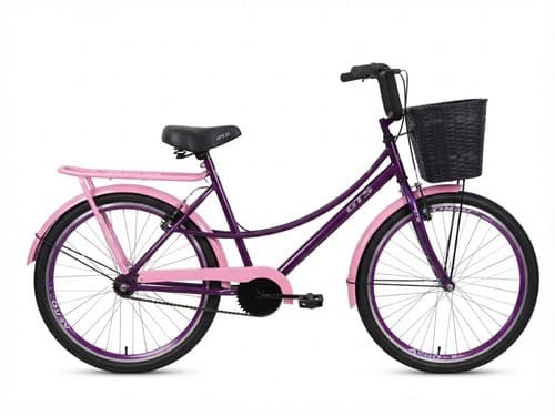 BIC 26X1/2 POTY ROXO/ROSA