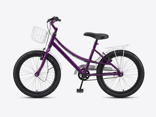 BIC 20 CECI VIO/ACESS BCO