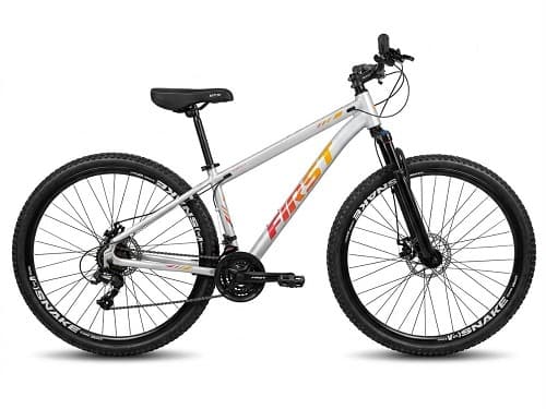 BIC 29 21V T15 FIR/LIF BCO/ARCO-IRIS (C.E)